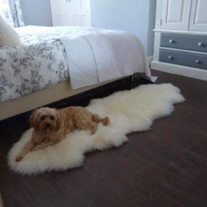 Sheepland Sheepskin Blog 26