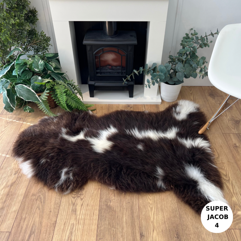 100% British Supersized Jacob Undyed Rare Breed Sheepskin Rugs ...